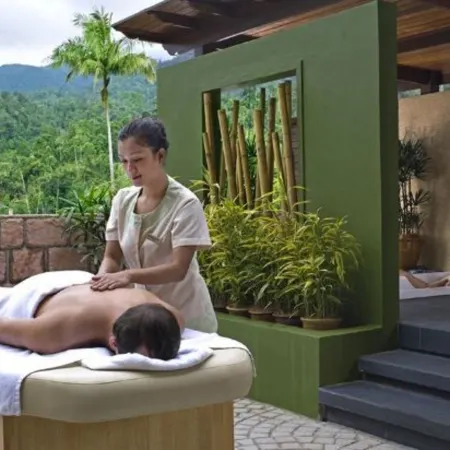 The Chateau Spa & Wellness Resort