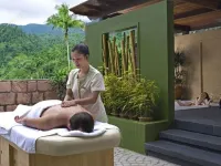 The Chateau Spa & Wellness Resort - spa