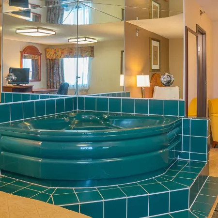 Quality Inn & Suites Detroit Metro Airport