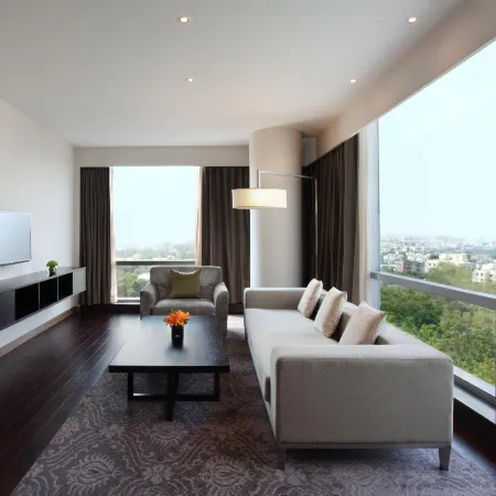 Hyatt Regency Ahmedabad Отели рядом с достопримечательностью «Мечеть Sidi Bashir»