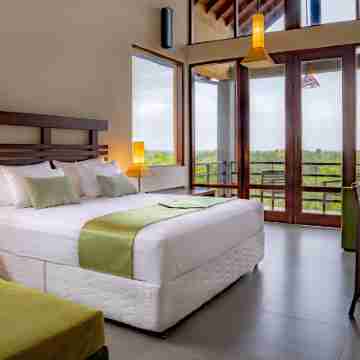 Rock Wild Yala Others