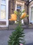 Highfield Guesthouse فنادق في Gargrave