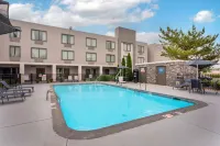 Best Western Plus Bowling Green - Pools