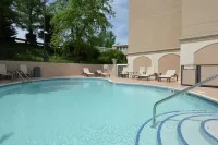Hampton Inn Salem East-Electric Road - Pools
