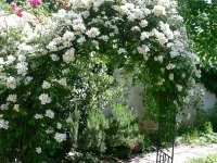 Gästehaus Zwiebelturm Hotels in Kerken