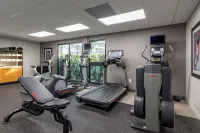 Best Western Plus Dalton Inn - gimnasio