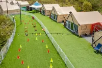 Qingdao is Exciting Dog Glamping