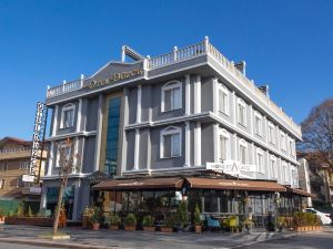 Hotel Duzce Surur & Spa