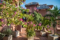 La Casa Que Canta Hotels in 