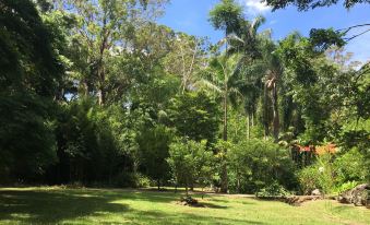 Songbirds Rainforest Retreat
