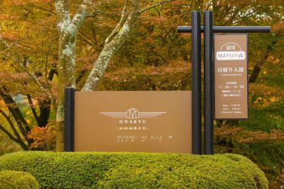 ホテル周辺 箱根レイクホテルの写真