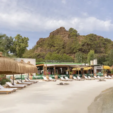 D Maris Bay