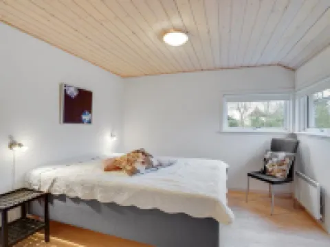 "Daina" - 400m to the Fjord