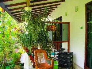 The Otunna Guest House Sigiriya