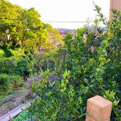 Wenzhou Pushe Homestay Hotel Exterior