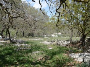 Sifakis Gorgeous Stone House