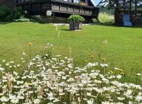 Ferienhaus Ulli