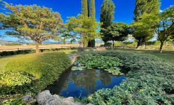 Fab Villa with Fenced Pool, Huge Grounds, Mediation Park, Child Activity Park