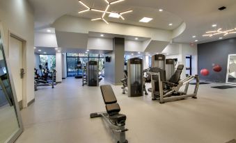 a well - equipped gym with various exercise equipment , including treadmills and weight machines , under a large ceiling at Mobile Marriott