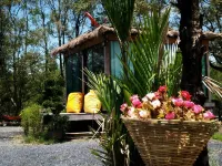 Calm at Bangphat Hotels in Phang Nga Town