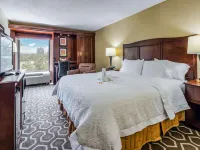 Hampton Inn Tampa-Airport/Westshore Hotels in Tampa