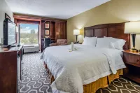 Hampton Inn Tampa-Airport/Westshore
