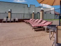Quality Inn Paris Texas