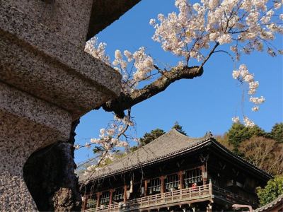 ホテル周辺 奈良パークホテルの写真