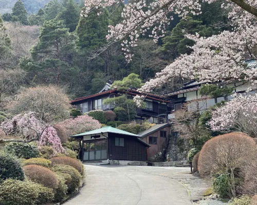 Hakone Kowakien Mikawaya Ryokan بالقرب من الفندق Photos