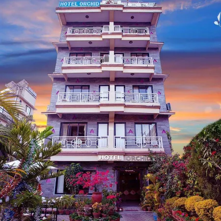 Hotel Orchid