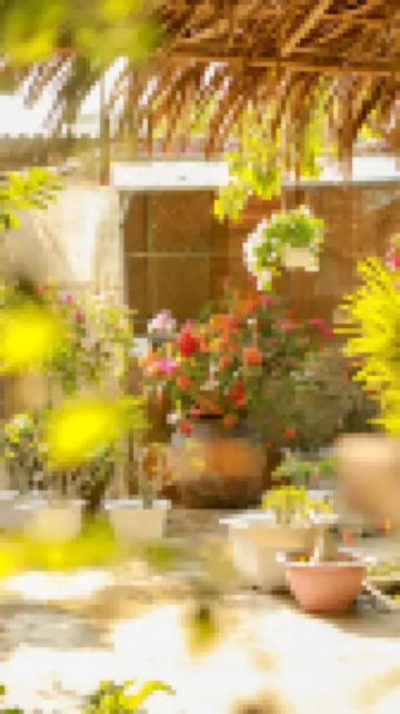 奇異果的家庭旅館和咖啡店