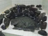 Kadota Ryokan - con terme