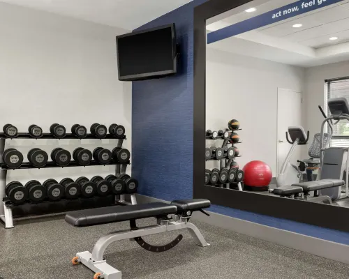 Hampton Inn Boston/Cambridge الترفيه والتسلية Photos