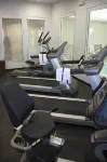 Holiday Inn Express & Suites YOUNGSTOWN WEST - AUSTINTOWN by IHG - Gym