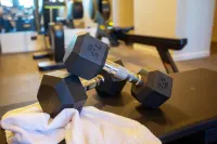 Airone Wellness Hotel - Gym