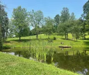 Cozy home in a peaceful country setting with stocked pond. Relax and unwind.