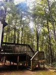 Prancing Doe Sleeps 6, or Rent All 4 for 20. Horseback Riding Across the Rd!