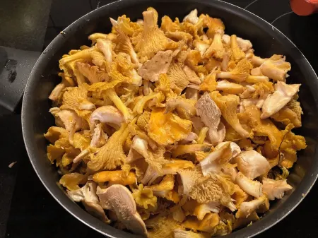 Venez Découvrir l Histoire des Gabariers sur Notre Belle Rivière La Dordogne Отели в г. Монсо-Сюр-Дордонь