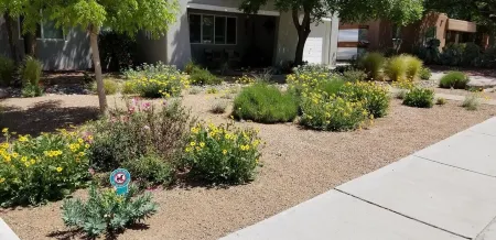 Historic Nob Hill home with cozy covered deck and close to Route 66. Отели рядом с достопримечательностью «Silver Family Geology Museum»