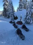 Bear Valley Alpine Cabin-3bdrm2bth