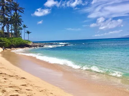 160 Ten Star Reviews Out of 160, Amazing, Maui Magic, A206 with AC, Beachfront