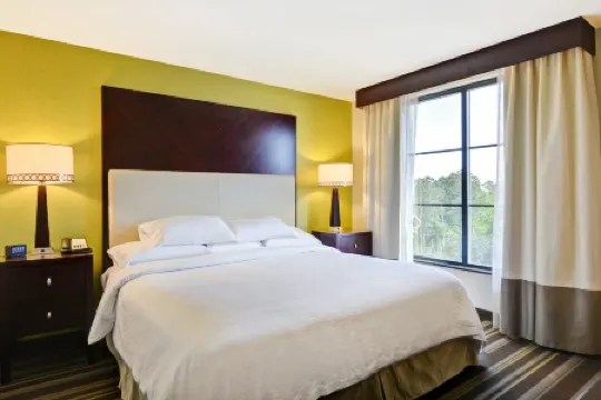 Embassy Suites by Hilton Savannah Airport
