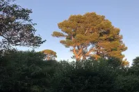 Cottage for 4 people at Domaine de la Forçate with swimming pool in the park.