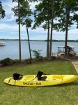 Lakeside Retreat Entire House Inground pool, kayaks, dock