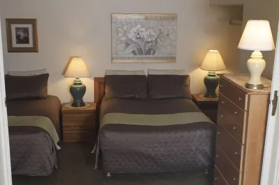 'Best Deal in Telluride' - Walk to Gondola & lift 8!     TBL #00111