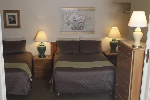 'Best Deal in Telluride' - Walk to Gondola & lift 8!     TBL #00111
