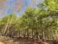 Peaceful Family-Friendly Sunapee Lake/Ski Retreat فنادق في Sutton