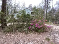 Wakulla River Retreat - a nature lover’s paradise