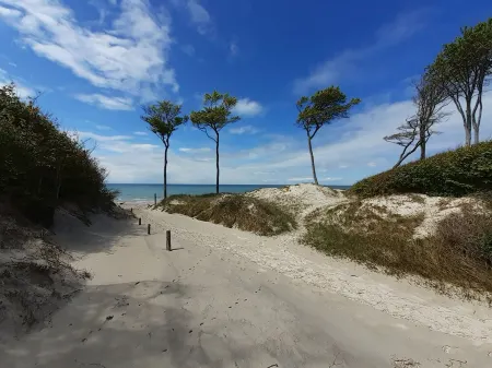 Top central, quiet apartment with garden: only 280m to the beach + preferred location!