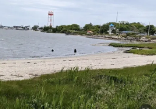 Beautiful fully renovated quad in Village Green